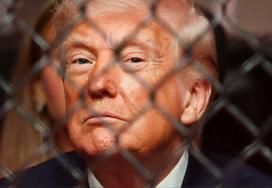 Donald Trump, UFC