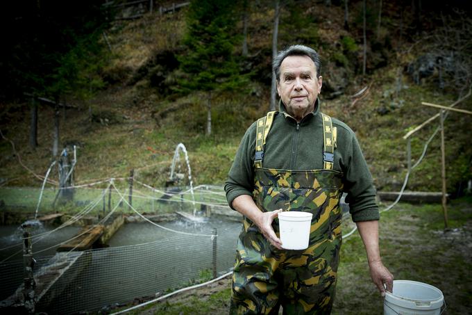 Janez Meglič, lastnik ribogojnice, je hvaležen vsem, ko so družini v teh težkih časih priskočili na pomoč.  | Foto: Ana Kovač