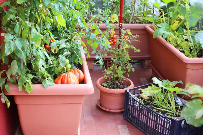 Vrtiček na balkonu vam lahko služi kot prostor za gojenje zelenjave in zelišč za uporabo v kuhinji. | Foto: Thinkstock
