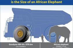 Guma, večja od slona