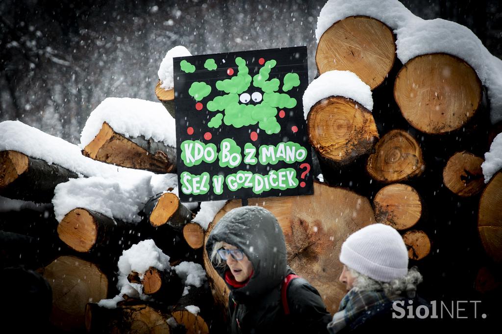 Protest proti sečnji gozda na Rožniku