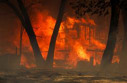 Strašen požar divja po Kaliforniji: dosegel je tudi 250 kilometrov oddaljeni San Francisco