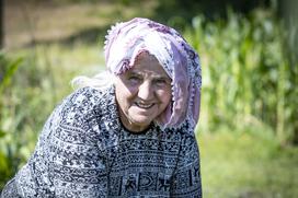 Zineta
