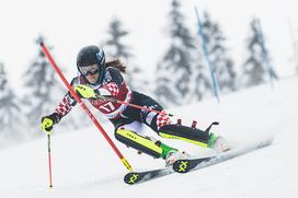 Zlata lisica, slalom