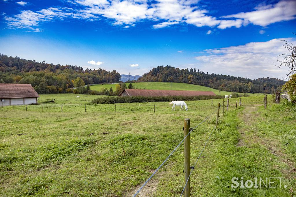 Pedagoško raziskovalni center za konjerejo Krumperk