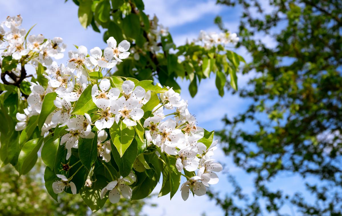 Sonce. Vreme. Pomlad. Hribi. | Foto Shutterstock