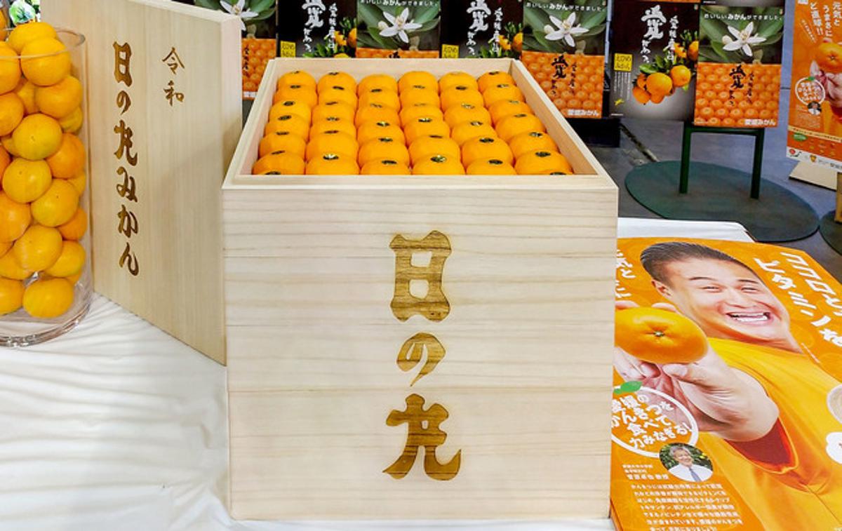 Nishiuwa mandarine | Zabojček s sto mandarinami, za katerega je kupec odštel več kot 8.000 evrov. | Foto JA Nishiuwa