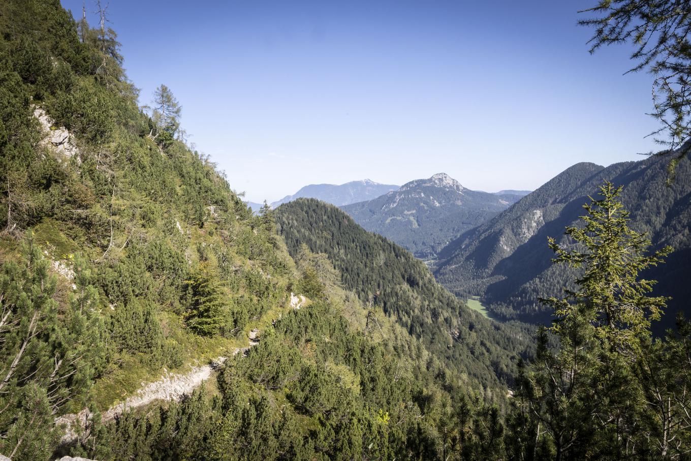 Olhando para trás, do caminho para Češka koča – para Pristovški Storžič e Ojstrec (Hochobirje). | Foto de : Bojan Puhek