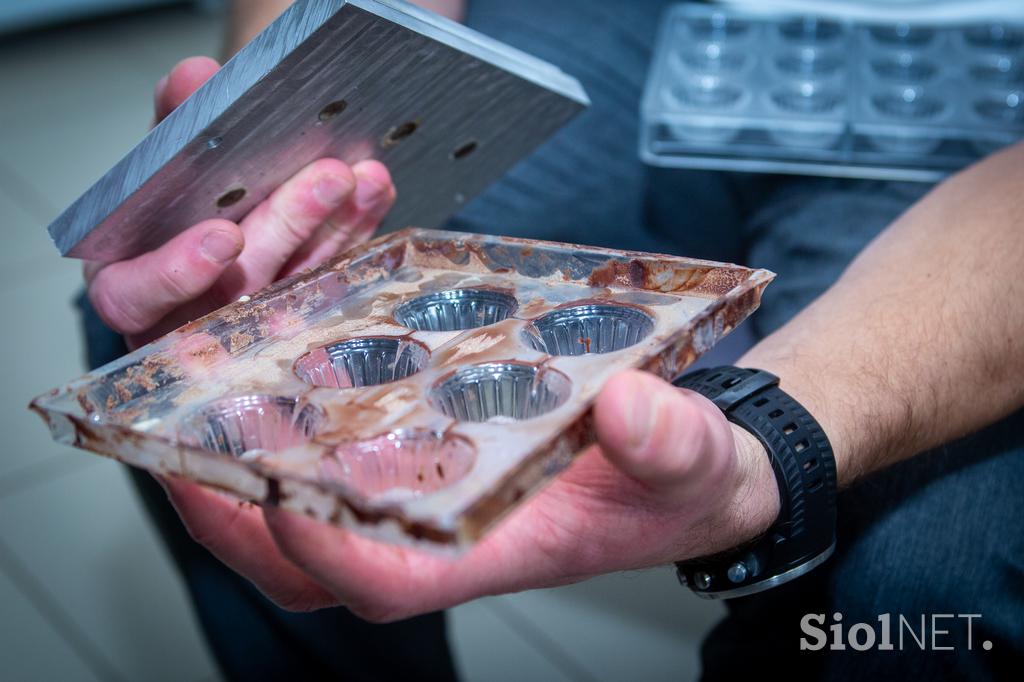 Maks Pogačnik, Molinet