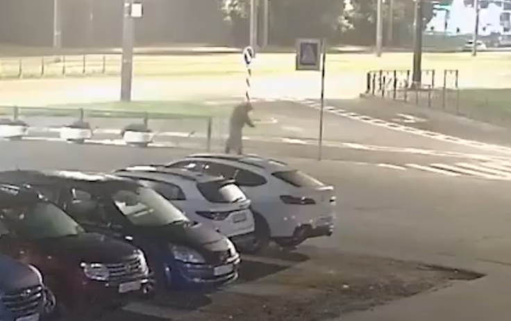 Rus, vpleten v poskus bombnega napada, je bil preoblečen v starejšo žensko, trdi FSB.  | Foto: FSB / Posnetek zaslona