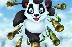 Mali veliki panda