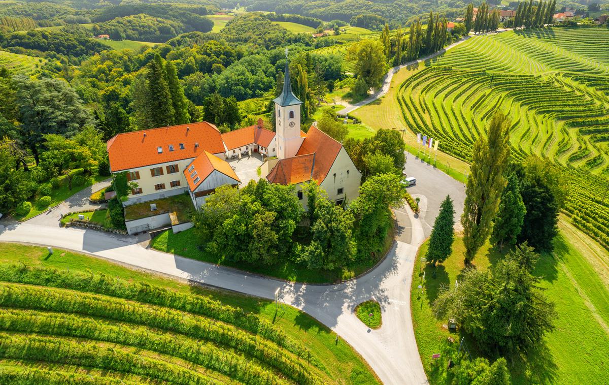 vinogradi, Štajerska | Foto Shutterstock