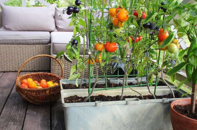 balkon vrt | Foto: Getty Images