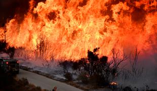 Portugalska v plamenih: z ognjem se bori več kot tisoč gasilcev #video