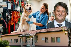 Kateri veterinarji so lani zaslužili največ?