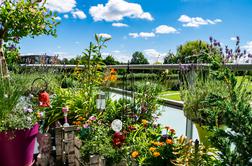 Balkon brez komarjev: kaj dejansko pomaga in kaj manj
