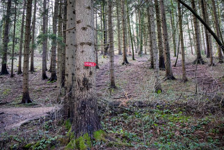 Nezahteven vzpon na Čemšeniško planino | Foto: Matej Podgoršek
