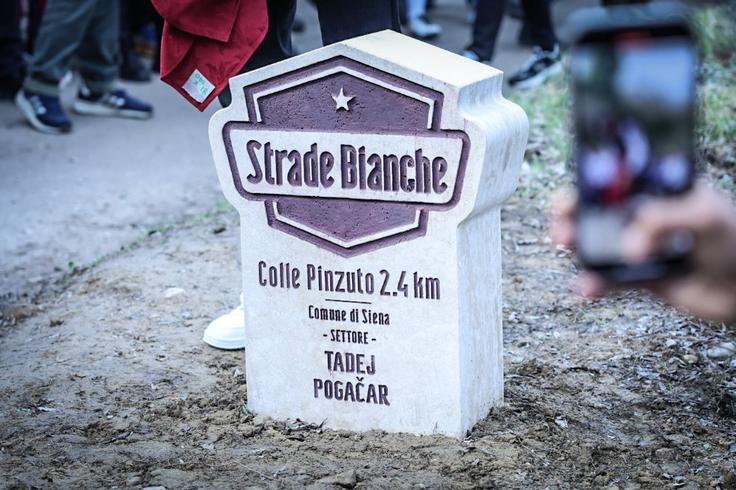 Tadej Pogačar | Foto: Ana Kovač