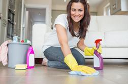 30-dnevni načrt za čist dom
