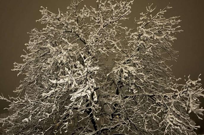 Ptujska gora, sneg | Na ohladitev in spuščanje meje sneženja kaže v torek, 6. januarja, a napoved ni zelo zanesljiva. | Foto Bralec