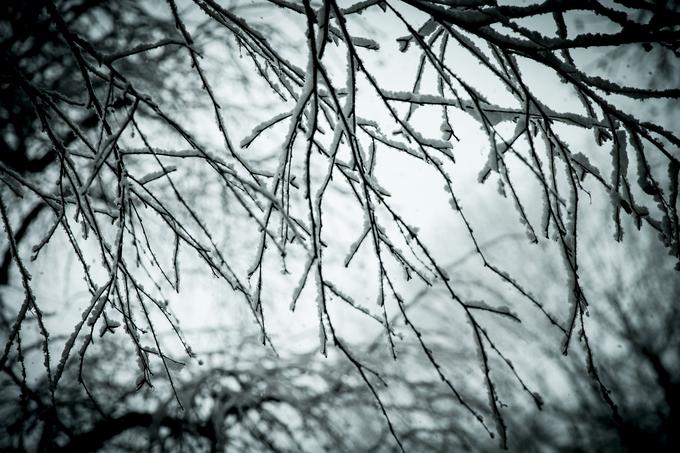 Meteorolog Brane Gregorčič pojasnjuje, da občutnejšega sneženja v nižinah v nedeljo ne gre pričakovati. | Foto: Ana Kovač