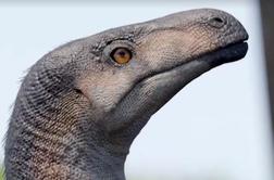 Odkrili skoraj popolno okostje enega najstarejših dinozavrov na svetu #video