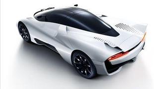 SSC tuatara