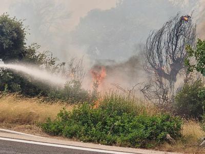 Obsežen požar na Korčuli pod nadzorom