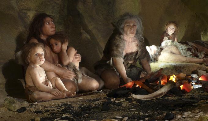 Sodobni ljudje oziroma anatomsko sodobni ljudje smo podvrsta homo sapiensa. Podvrsti homo sapiensa so bili med drugim tudi neandertalci in denisovanci (imenovani tudi arhaični ljudje). Na fotografiji: lutke neandertalcev v muzeju v Krapini. Pred 50 do 60 tisoč leti naj bi se sodobni ljudje na območju, ki mu danes pravimo Bližnji vzhod, genetsko mešali s tamkajšnjimi neandertalci. Ta nova genetska populacija je potem prišla v Evropo. Pripadnica te populacije je bila tudi ženska, katere lobanje so našli v Zlatem kůnu. Okostja petih anatomsko sodobnih ljudi, v katerih so nedavno odkrili zelo veliko genov neandertalcev, so našli tudi v bolgarski jami Bačo kiro. Najdene kosti so stare od 46 do 42 tisoč let. Torej so morda celo starejše od lobanje iz Zlatega kůna. | Foto: Reuters