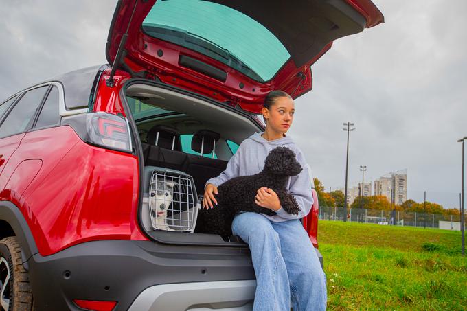 Crossland je drugi najbolje prodajani model pri znamki Opel. Da bo avtomobil varen tudi za prevoz psov, ga lahko opremite z nedrsečo prevleko za zadnje sedeže, če psa prevažate pripetega na oprsnici, in transportnim boksom.  | Foto: Žiga Krančan