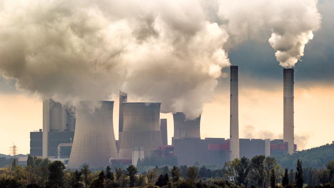 Živinoreja proizvede kar 18 odstotkov toplogrednih plinov. | Foto: Getty Images