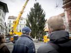 Novoletna smreka v Ljubljani Prešernov trg