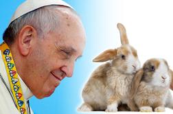 Papež katoličanom: Ni treba, da se množite kot zajci