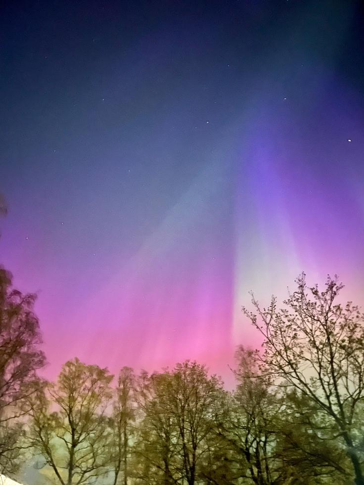 Severni sij v Helsinkih. | Foto: osebni arhiv Neje Sirc