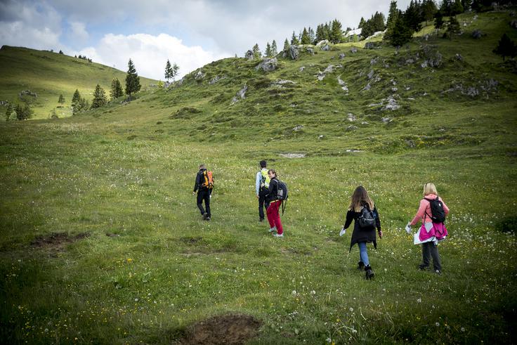 V drugi polovici tedna bodo tako v gorah spet značilne spomladanske razmere, so še navedli pri agenciji za okolje.  | Foto: Ana Kovač