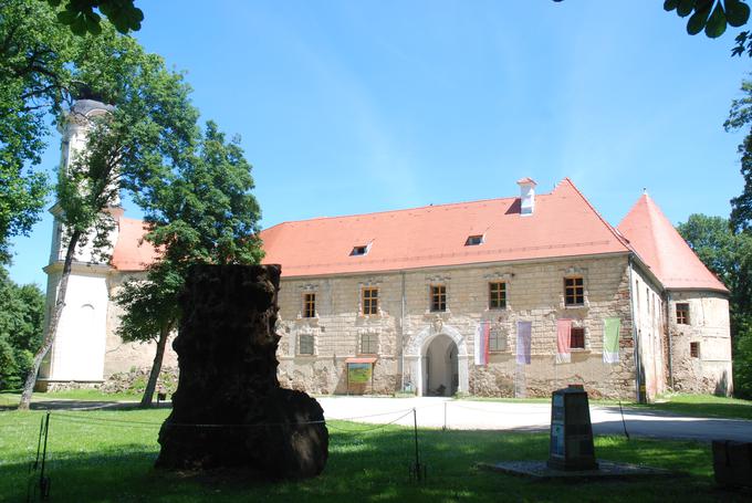 Grad na Goričkem je največji (baročni) grad v Sloveniji. Leži v osrčju Krajinskega parka Goričko in ima po legendi kar 365 sob. Graditi so ga začeli vitezi templjarji v 11. stoletju, današnjo končno podobo pa je dobil v 19. stoletju.  | Foto: Sava Turizem