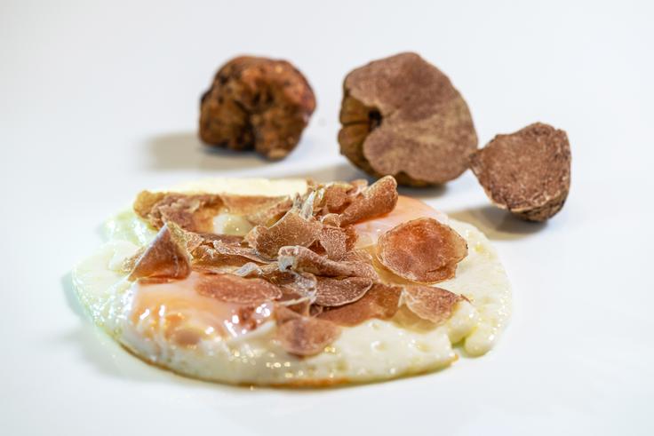 Zigante, sveži beli tartufi | Foto: Zigante tartufi