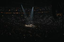 Ansambel Saša Avsenika, Stožice