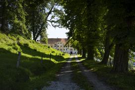 Grad Ponoviče v Litiji