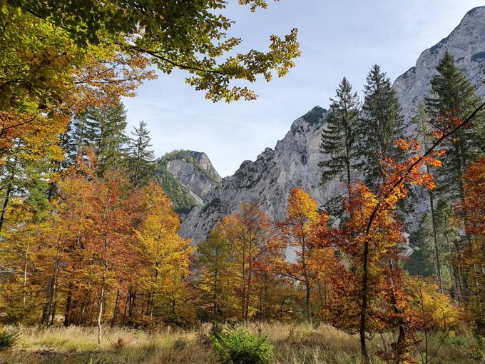 Tamar | Foto: Mojca Mežek / Turizem Kranjska Gora