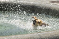 Pripravite se na še hujšo vročino #animacija