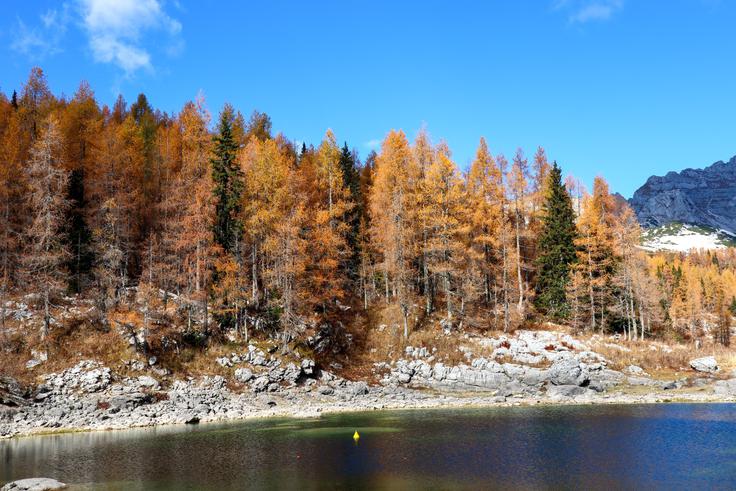 Ob Dvojnem jezeru | Foto: Matej Podgoršek