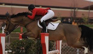 Ugar Equestrian Team uspešen v evropskih parkurjih