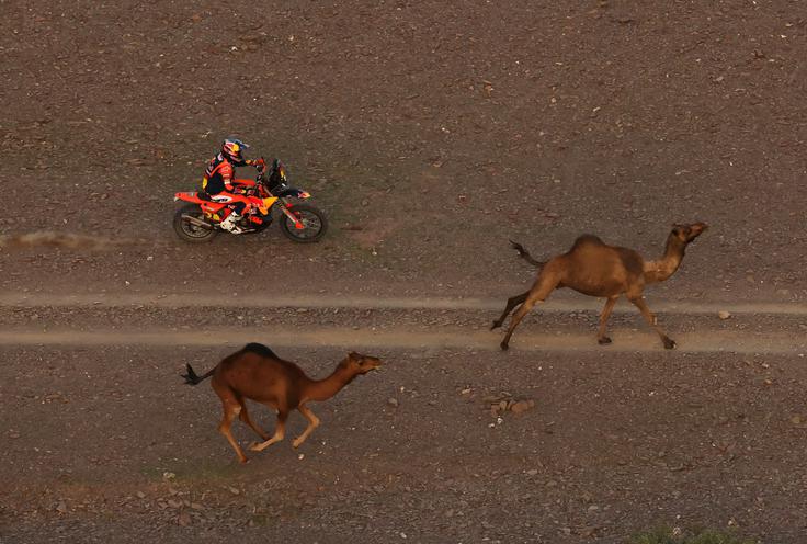 Daniel Sanders | Foto: Reuters