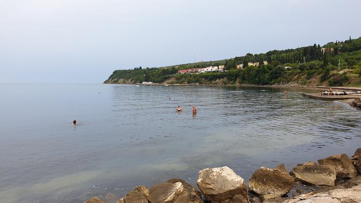 Kot nekdanji reševalec iz vode navtik in inštruktor tečajev za voditelja čolna Ambrož Jakop meni, da plavalci 150 metrov od obale nimajo česa iskati, saj jih tam nihče ne bo mogel rešiti.  | Foto: Metka Prezelj