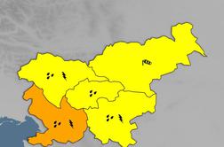 Arso izdal oranžni alarm: to napovedujejo za del države #animacija