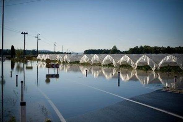 Kmetijskim gospodarstvom izplačila za škodo po poplavah