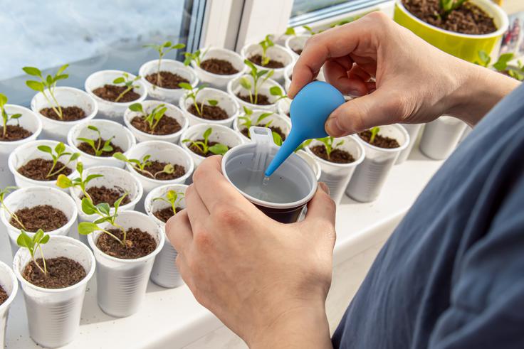 pikiranje | Foto: Shutterstock