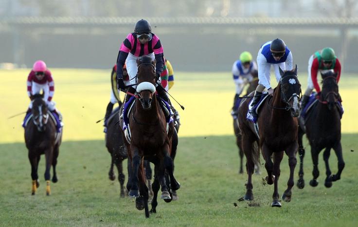 Nakayama Racecourse | Foto: Getty Images