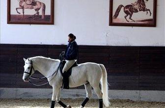 Muzej Lipica bo vrata za obiskovalce predvidoma odprl aprila prihodnje leto